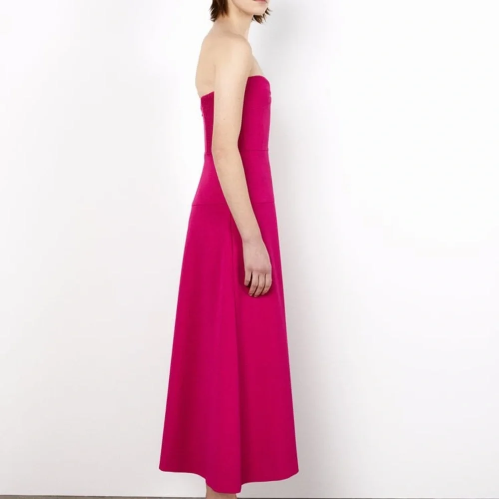 Zara Bustier Midi Dress - Picture 11 of 15